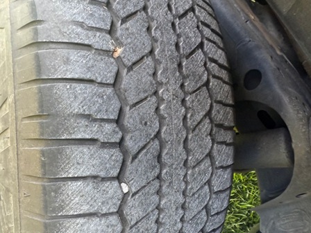 bcsa australasia gallery 18