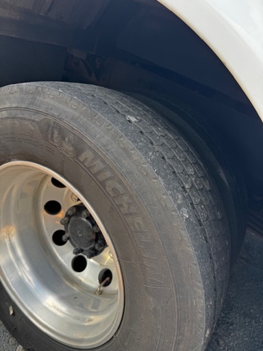 bcsa australasia gallery 13