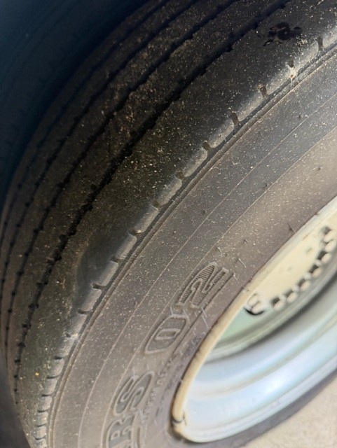 bcsa australasia gallery 22