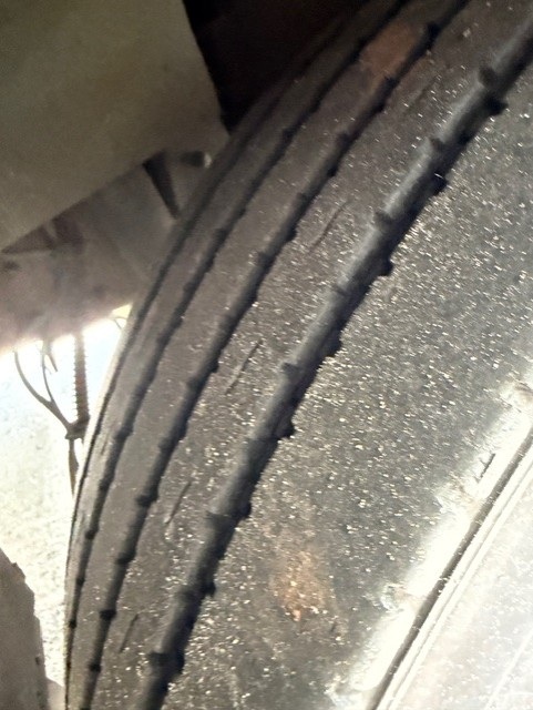 bcsa australasia gallery 22