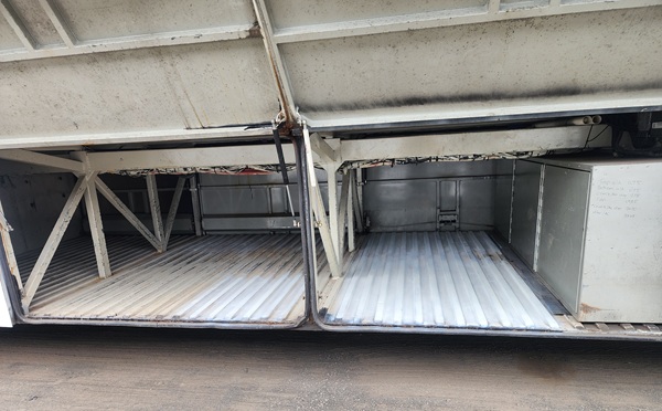 bcsa australasia gallery 7