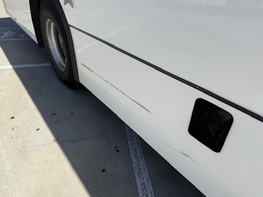 bcsa australasia gallery 18