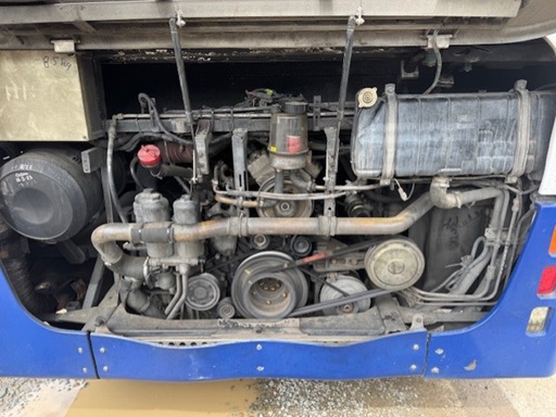 bcsa australasia gallery 6