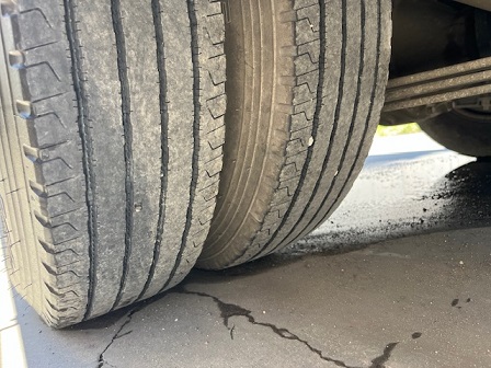 bcsa australasia gallery 15