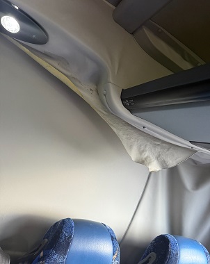 bcsa australasia gallery 9