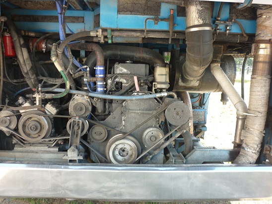 bcsa australasia gallery 6