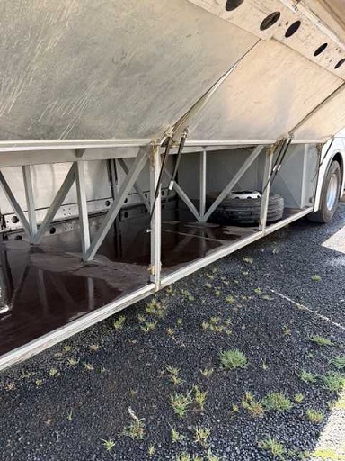 bcsa australasia gallery 7