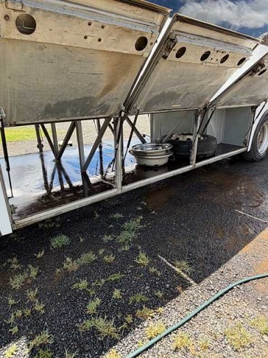 bcsa australasia gallery 16