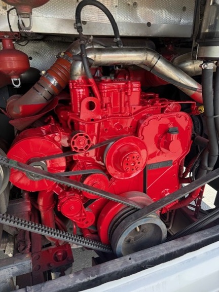 bcsa australasia gallery 19