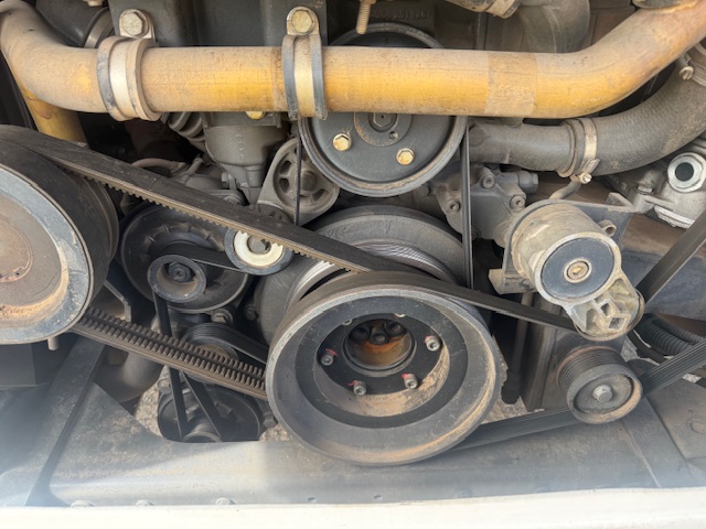 bcsa australasia gallery 33