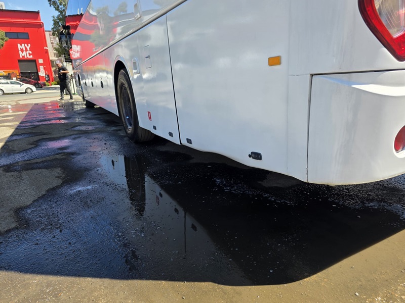 bcsa australasia gallery 17