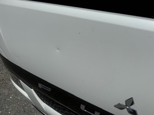 bcsa australasia gallery 19