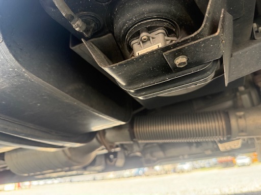 bcsa australasia gallery 19