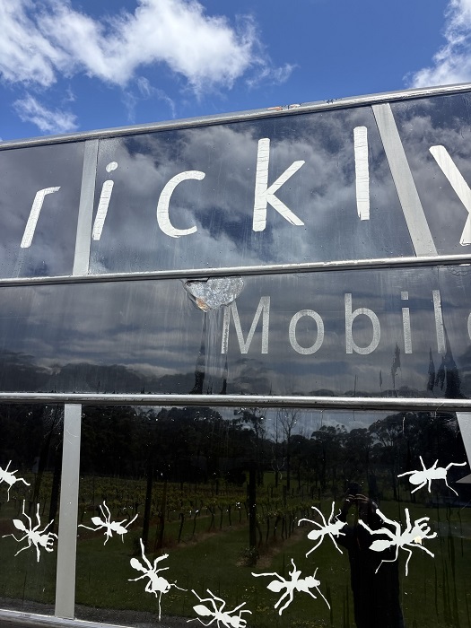 bcsa australasia gallery 17