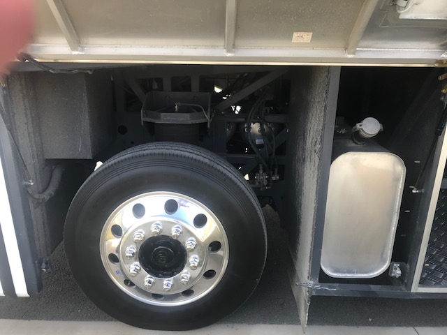 bcsa australasia gallery 10