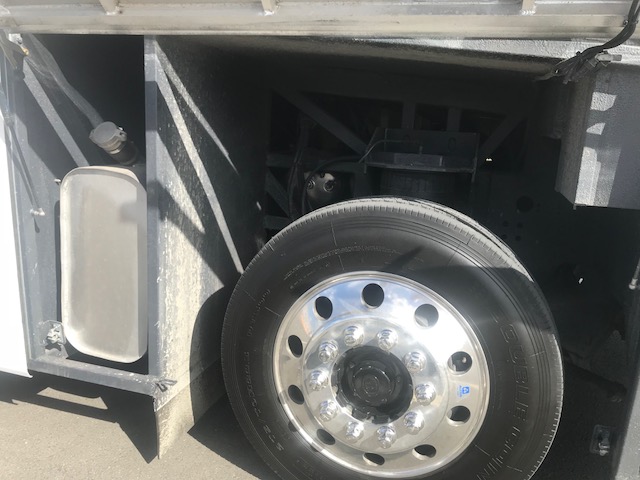 bcsa australasia gallery 10